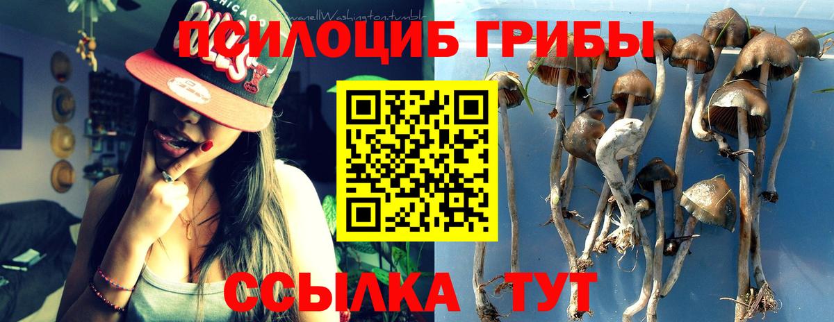 Галлюциногенные грибы мицелий  наркошоп  Чехов  Галлюциногенные грибы мухоморы  Вход с VPN 