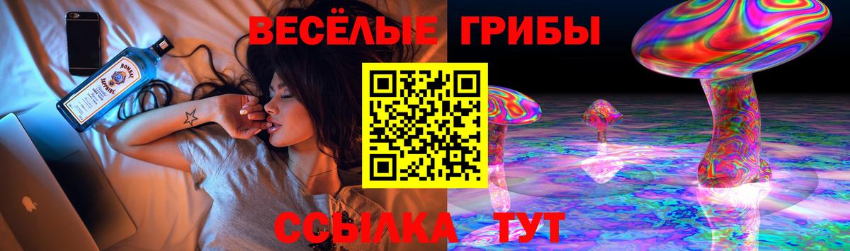 Псилоцибиновые грибы Magic Shrooms Чехов